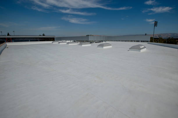 Best Rubber Roofing (EPDM, TPO)  in Homestead Meadows South, TX