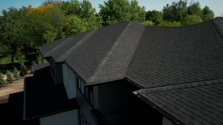 Best Solar Panel Roofing Installation  in Homestead Meadows South, TX