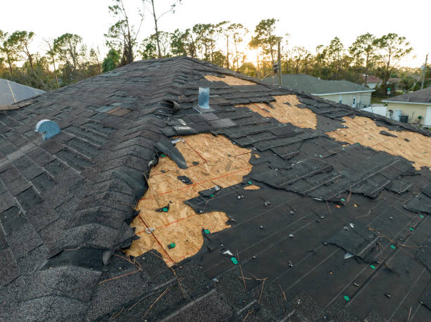  Homestead Meadows South, TX Roofing Service Pros