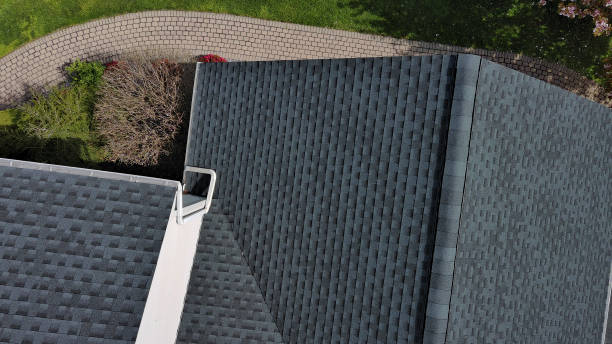 Best Sheet Metal Roofing  in Homestead Meadows South, TX