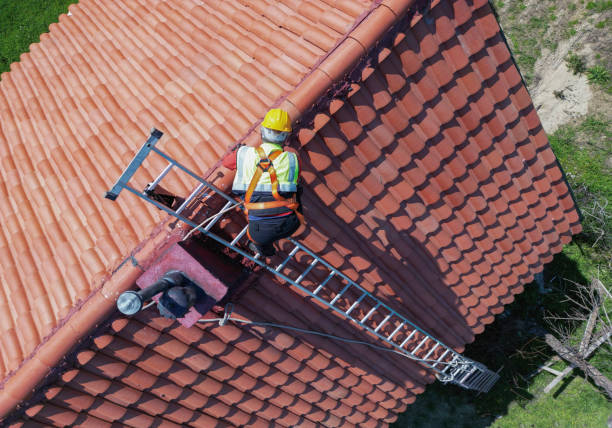 Best Chimney Flashing Repair  in Homestead Meadows South, TX