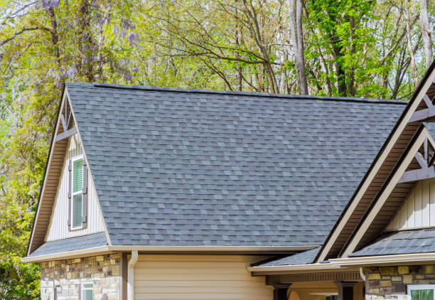 Best Roof Maintenance and Cleaning  in Homestead Meadows South, TX