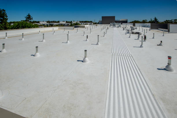 Best Asphalt Shingles Roofing  in Homestead Meadows South, TX